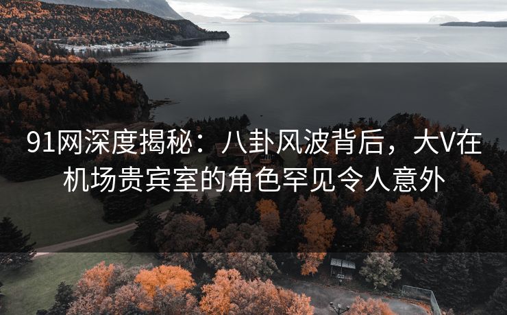 91网深度揭秘:八卦风波背后,大V在机场贵宾室的角色罕见令人意外 91网深度揭秘:八卦风波背后,大V在机场贵宾室的角色罕见令人意外