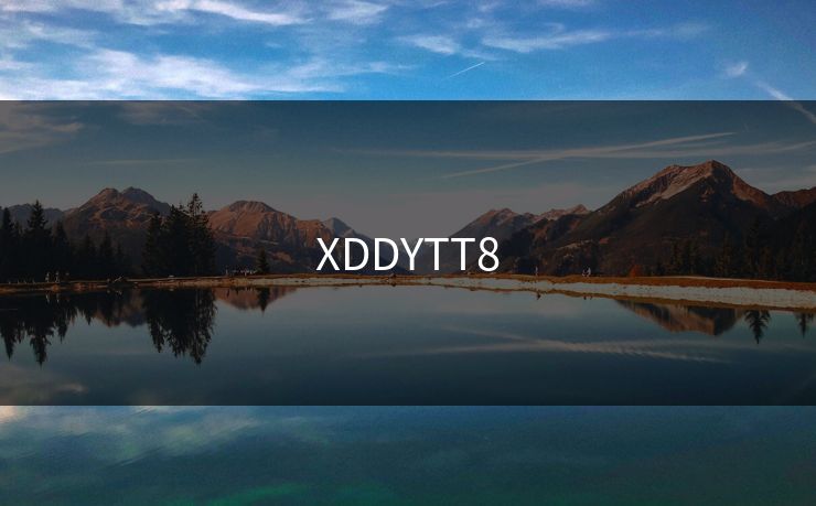 XDDYTT8