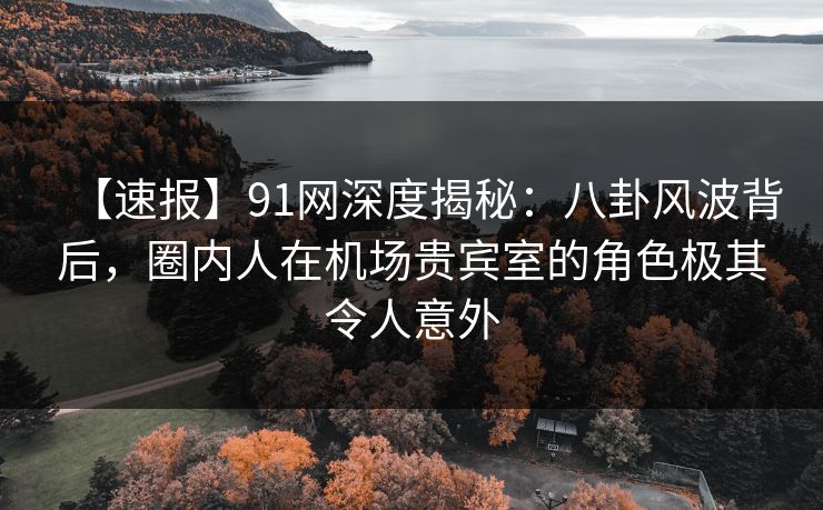 【速报】91网深度揭秘：八卦风波背后，圈内人在机场贵宾室的角色极其令人意外