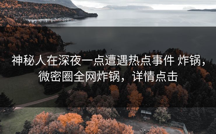 神秘人在深夜一点遭遇热点事件 炸锅,微密圈全网炸锅,详情点击 神秘人在深夜一点遭遇热点事件 炸锅,微密圈全网炸锅,详情点击
